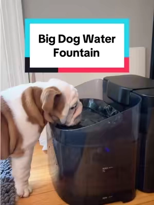 Probably my favorite water bowl so far!! #dogwater #dogwaterfountain #petwaterfountain #petfountain #dogfountain 