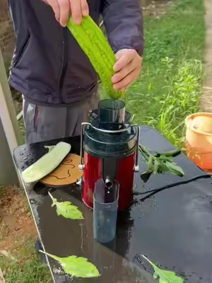 ¿No tienes tiempo de cortar frutas? Ahora puedes ponerla entera 🥭