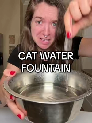 so glad I found this when I did! My cats are doing amazing with this cat water fountain!! #catmom #catlover #catwaterfountain 