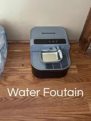 @Geoorood Pet US #spotlightfinds #summermusthaves #tiktokshopsummersale #petfountain 