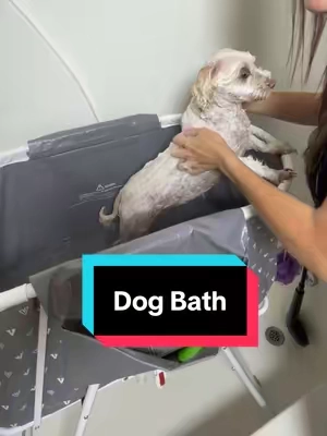 VEVOR Foldable Elevated Grey Metal Dog Bathtub - Carbon Steel Sturdy Portable Pet Bath Tub with Triangular Legs, Manual Clean Showering Station for Small-Medium Dogs & Cats, Outdoor Patio Gift, Bathtubs @VEVOR Home Improvement #dog #dogsoftiktok #dogbath #petownersoftiktok #doglover 
