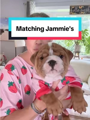 You know I had to get another pair of these matching jammie's for the puppies!!!  #dogpajamas #dogjammies #pajamas #matchingpajamas #dogclothes 