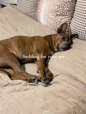 the bedding that can hold up with pets 