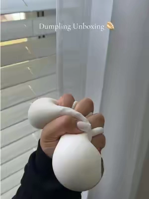 #dumplings #squishies #dumplingsquishy 