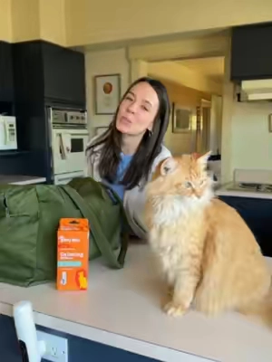 Weekend trip booked. Cat's comfort covered. 🧡Grab our Cat Calming Diffuser now on TikTok Shop! #Cat #CatTips #CatLife