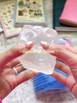 #coconutoilsquishy #cheesesquishy #squishy #noreboundcheesesquishy 
