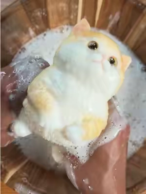 Replying to @SquatchFanPineTar That was fun! What should we clean next? 👀 #drsquatch #asmr #squishy #oddlysatisfying  