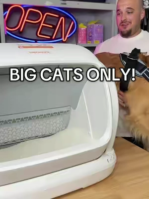 Big cats listen up! 