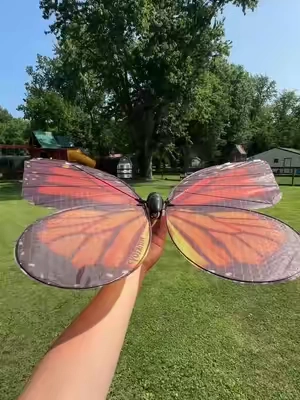 Okay… this is cool 🤩🦋 #toys #robots #robotics #remotecontroltoy #giftguide 