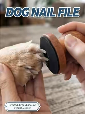 Don't worry about your dog's long toenails.#summerwins #petlover #pethealth #nailfile #dog 