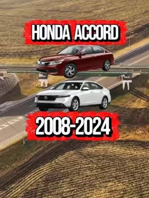 Tapetes diseñados exactamente a la medida para Honda Civic y Honda Accord #hondacivic #hondaaccord #honda #hondagang #civic #viral #trending