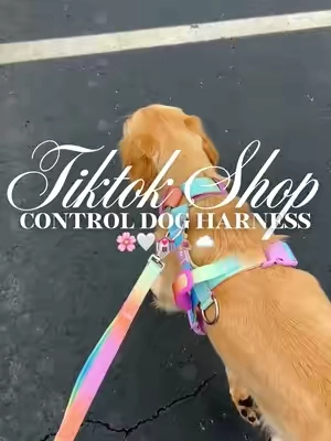 Control dog harness 🌸🤍💒🧘🏼‍♀️☁️#fyp #dogharness #nopulldogharness #nopullharness #dogwalk 