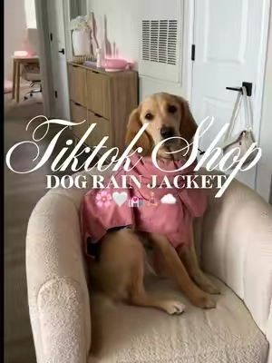 Dog rain jacket 🌸🤍💒🧘🏼‍♀️☁️#fyp #dograinjacket #dogclothing #dogclothes #dogaccessories 