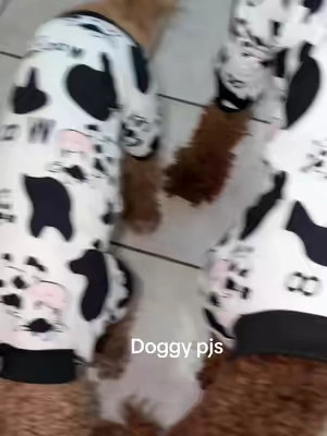 You get a 4 pack of doggy pjs! These are so cute. #dogpjs #matchingpjs 