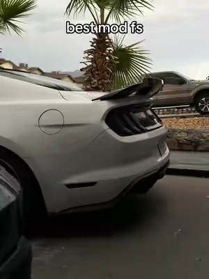 neck breaker✅ #fypシ #mustang #ford #catsoftiktok #5oh 
