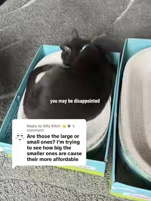 Replying to @Silly Bitch ☀️🕷 hopefully this helps figure out which size would work best for you! #catscratcher #scratcher #scratcherbed #tiktokshopsummersale #tiktokshopbacktoschool 
