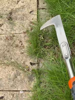 Do you still use butter knife,screwdriver and fire torch for this type grass in crevice? Check this All-in-One Weeding Warrior! Tame your home with ease. 🌿🛠️50% Off Limited Stock! Shop Now ❤️#GardeningHack #WeedingTool #MustHaveGadget #dealsforyoudays #SummerWins