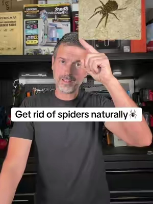 Most people make these mistakes when getting rid of spiders #tiktokshopsummersale #SummerVibes #spiders #bugs #pestcontrol 