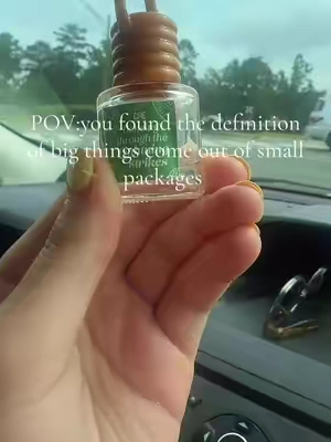 #carfreshener #car #fresh #accessories #scentoftheday 