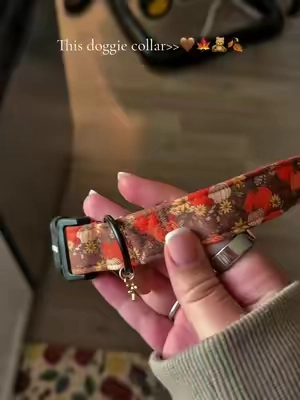 So cute! #dogcollar #collar #cute #pumpkins #fall