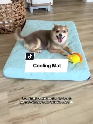 cooling mat but make it comfy #dogfinds #coolingmat #dogmom 