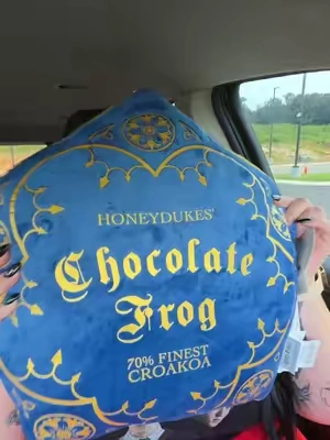 free will at its coziest finest ✨🎀 #harrypotter #chocolatefrog #giftsforher #harrypottergifts #halloween2026 Harry Potter pillow honeydukes chocolate frog chocolate frog pillow Harry Potter gifts gifts for Harry Potter lovers