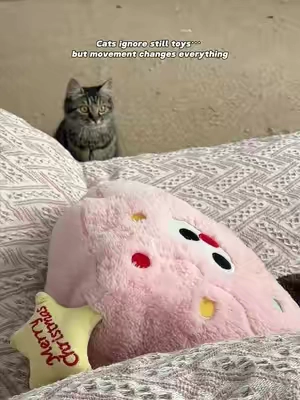 Cats love toys that move. It’s that simple.#catpick  #cattoy    #pettoys    #toysforcats    #catsofttiktok  