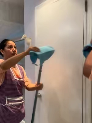 Con estas toallas limpio el acero inoxidable y los espejos 🫧 #limpieza #cleaningtips #housecleaning #tiktokshop #tiktokshopsummersale 