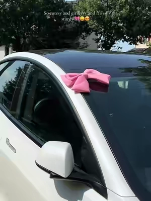 Cutest accessory for your carr!🎀🤍#pinkbow #contentcreator #fypシ#caraccessories #girlygirltiktok 