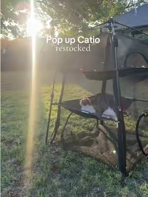 If you like spoiling your cat, they restocked the large pop-up catio, and it already sold out twice. It’s a great way to let your cats enjoy the outdoors safely without spending hours building a traditional catio. #catsoftiktok #catio #indoorcats #catmom #tiktokshop 