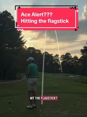 Ace alert? Hickory flagsticks are a nice touch, but they can be unkind sometimes. Did I get a good bounce off the hickory?     #golf #golftok #golftiktok #golftech #rangefinder 