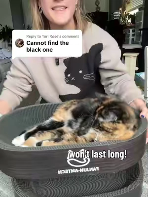 Replying to @Tori Rose the sleek black design is back in stock, but probably not for long! #catscratcher #scratcher #catbed #tiktokshopsummersale #tiktokshopbacktoschool 