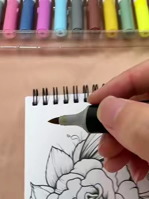 If you or your kids need markers to paint, choose the acrylic markers, it’s awesome!😎 #toppicks #spotlightfinds #acrylicpainting #acrylicmarkers lzj