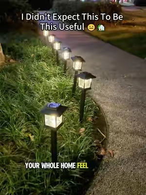 Not $60 ❌ Not $40 ❌ Not even $30 ❌ Wait for the TWELVE PACK price… 🤯🔥 This little magic solar Pathway lights turns my yard into a LUXURY resort EVERY NIGHT! ✨\#solarpathwaylights #DealsforYouDays #tiktokshop #outdoorlights #yarddecor 