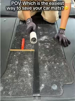 Which is the best tool for removing pet hair from your car mats?🤨#pethairremover #pethairremoval #pethair #carcleaning #tiktokshop 