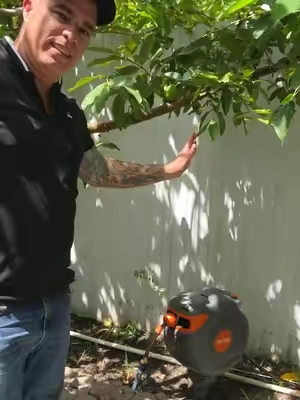 Manguera retractable es perfecta para patio y espacios donde no tengas para colgarla #manguera #agua #patio #retractable #jardin 
