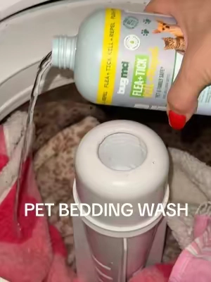 weekly pet bedding wash! 