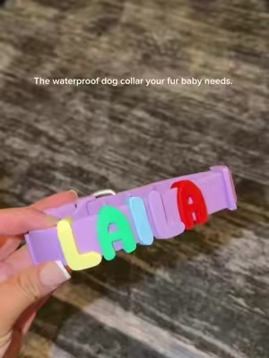 The cutest dog collar  #dogcollar#dogtoy  
