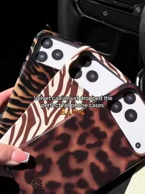 #velvetcaviar #velvetcaviarphonecase #fall #fallaesthetic #tiktokshopcreatorpicks 