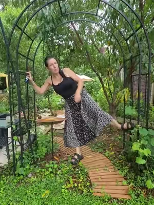my butterfly arch is finally back in stock #garden #arch #butterfly 
