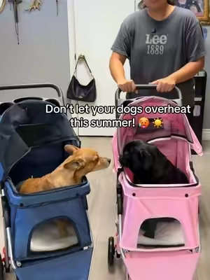 Your pets will thank you for this! #petstroller #dogstroller #dogwalking #dogmom #dogs 