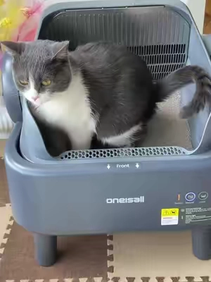 if you've got cats kids or just don't want to deal with poop, this is a lifesaver, I'll put the link right here!#FYP #cat #limitedtimeoffer #SummerSale #Summervibes    