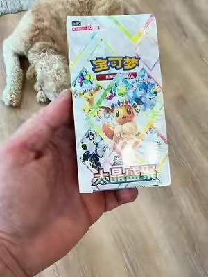 #TikTokshopbacktoschool #tiktokshopcreatorpicks #pokemon #pokemoncards #pokemontiktok 