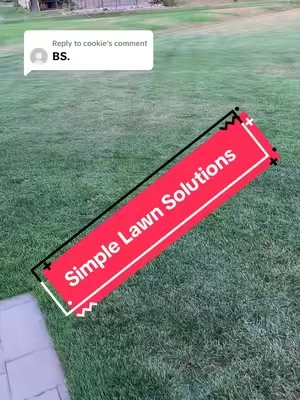 Replying to @cookie @SimpleLawnSolutions products really do work if you follow the directions. This is my lawn, my dogs burn marks, and this is what we used to help get it back to normal. #lawntok #lawncare #greengrass #tiktokshopcreatorpicks #tiktokshopfinds 