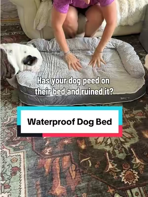 Waterproof and easily washable dog beds are totally worth the price!! This one is no exception and very supportive!! #dogbed #dogbeds #waterproofdogbed #orthopedicdogbed #petbed 