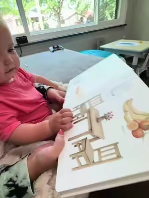 This book of first words has helped Dakota identify and articulate words! She will sit here and go through the whole book! #booksforkids #firstwords #toddlerlearning #toddlerbooks #tiktokshopbacktoschool 