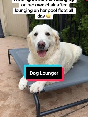 After a long day of swimming, Bailey now has her own lounge chair to relax in 😎 #dogbed #dogsoftiktok #dogaccessories #dogmom #dogtok 
