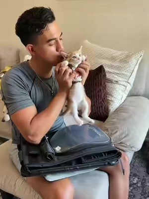 #petcute #mascotas #gatos #mochila #cat 