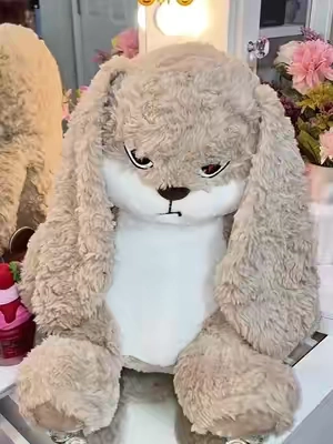 #tiktokshopbacktoschool #plushtoys 