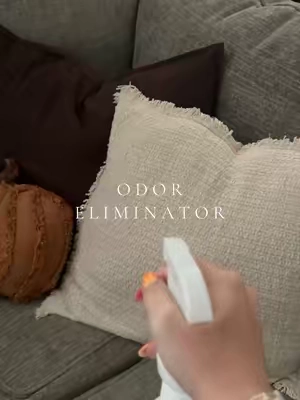#cleaning #CleanTok #cleaninghacks #petodoreliminator 